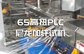 65高扭+PLC，尼龍加纖雙螺桿擠出機試機